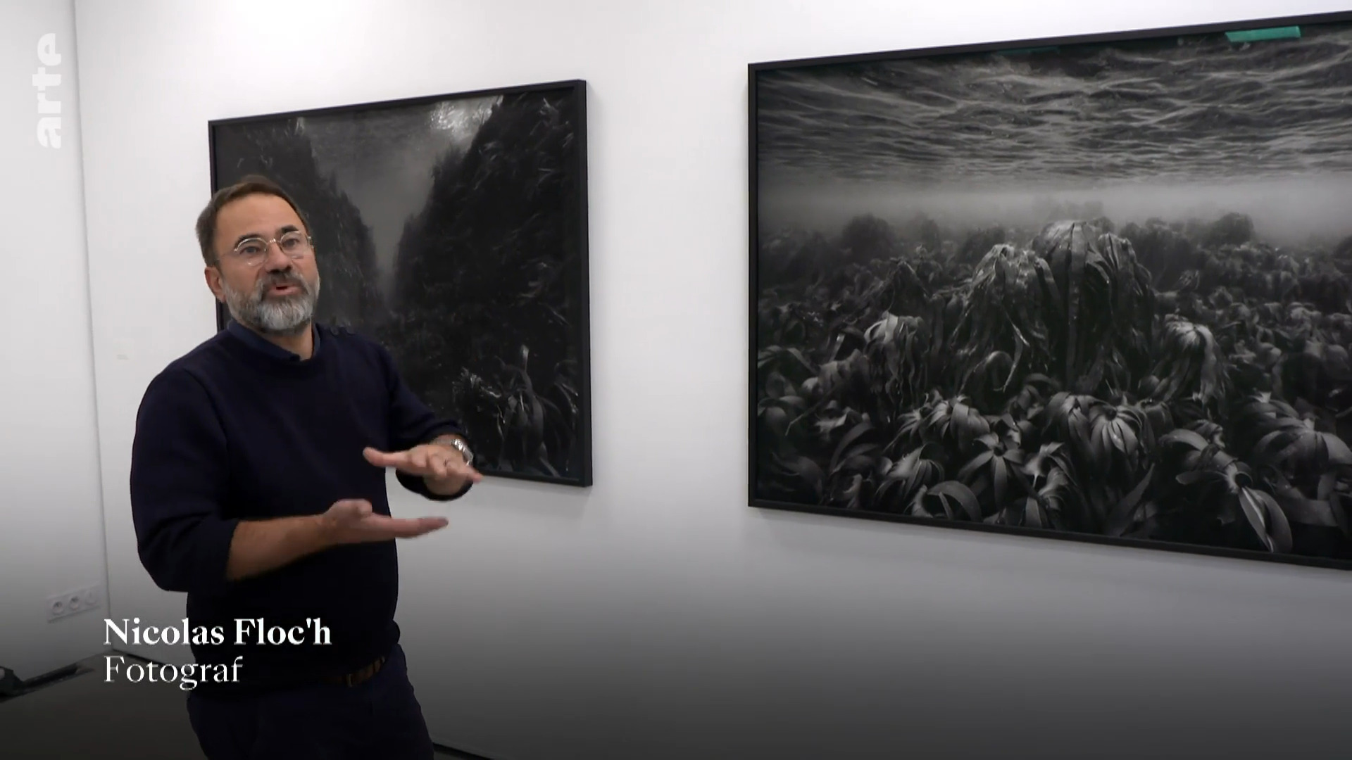 Screenshot from Arte: the photographer in front of two framed photographs in a gallery space. He's gesturing, the photographs are majestically dark.